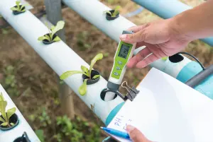 How to Control pH in Hydroponics?