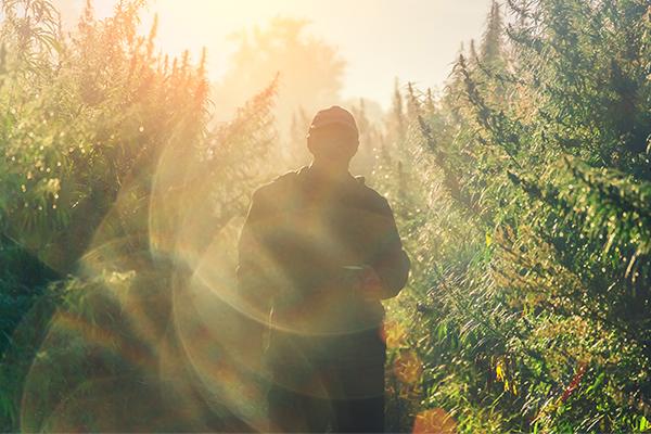 Supports Hemp as an Alternative Crop 