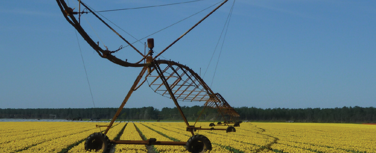 Dosatron fertilizer injectors for drip irrigation - banner