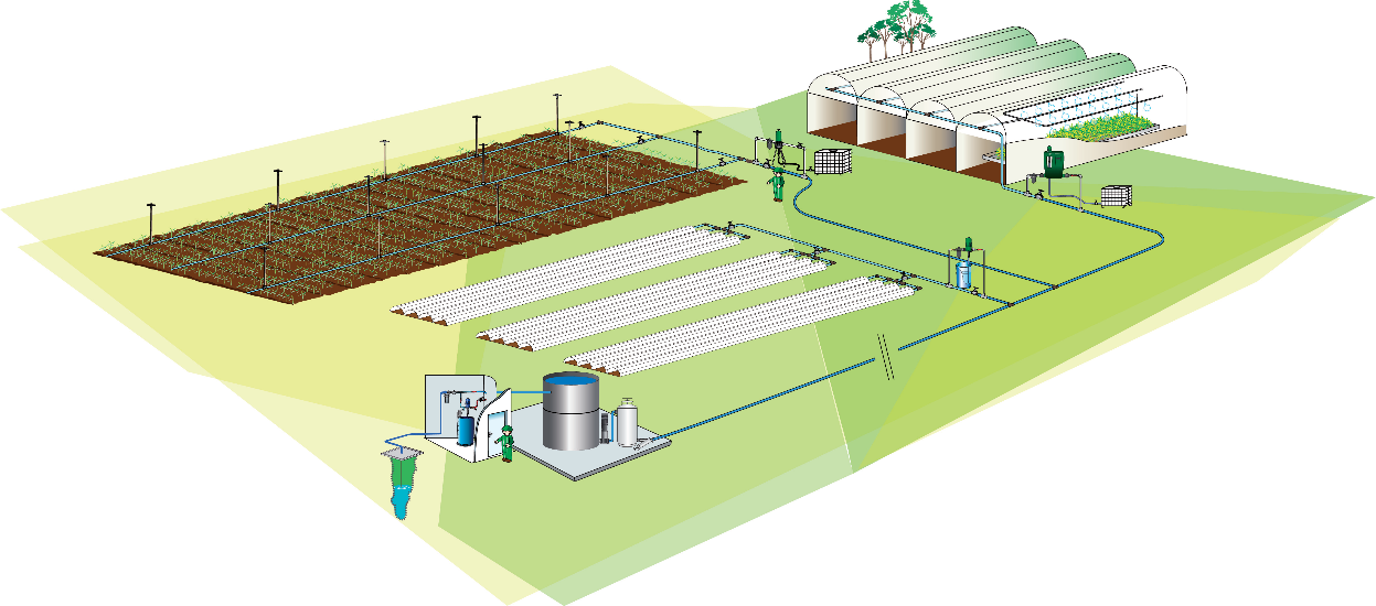 fruits and vegetables prodution - banner