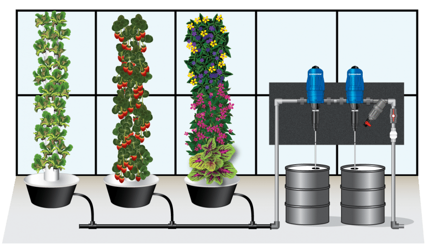 Displaying growth via food towers