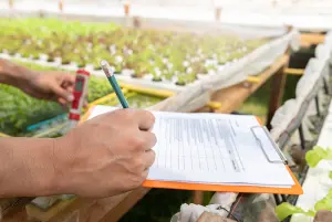 How to Control EC in Hydroponics?
